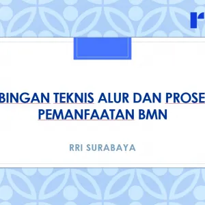 Bimbingan Teknis Alur dan Prosedur Pemanfaatan BMN